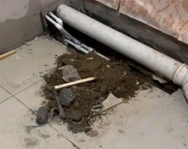 灌阳卫生间漏水检测哪家好