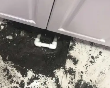 灌阳查漏水哪家好